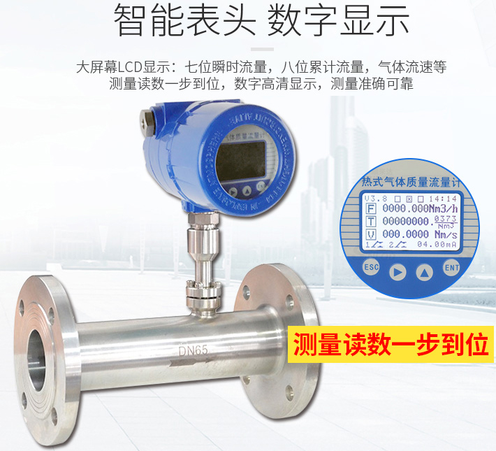 高溫型熱式氣體質(zhì)量流量計液晶表頭顯示圖